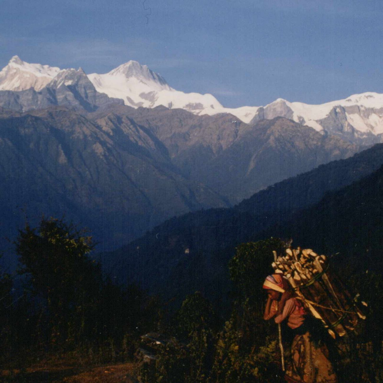 ネパールの景色